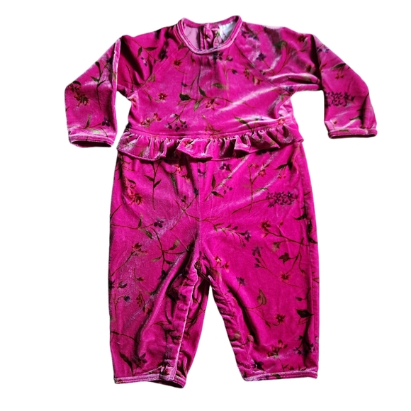 Hanna Andersson Other - FINAL PRICE Vintage Hanna Andersson Pink Velour Floral Romper Ruffle 6-12mo/70cm